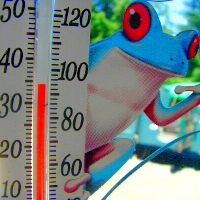 Networked Thermometer
